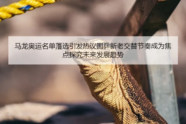 马龙奥运名单落选引发热议国乒新老交替节奏成为焦点探究未来发展趋势