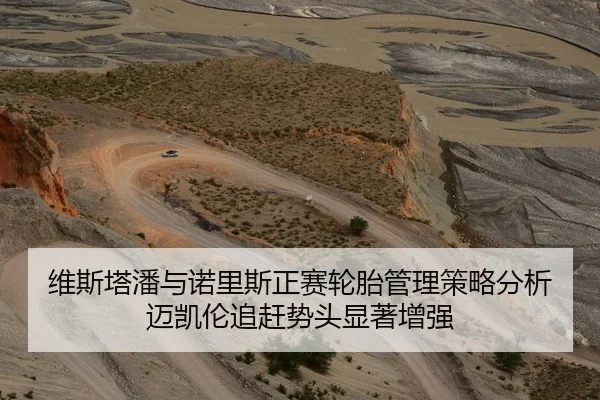 维斯塔潘与诺里斯正赛轮胎管理策略分析迈凯伦追赶势头显著增强