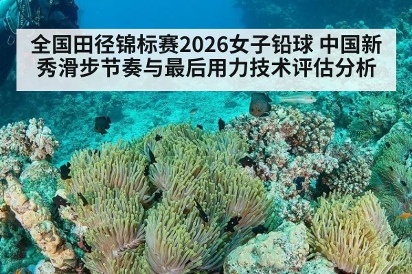 全国田径锦标赛2026女子铅球 中国新秀滑步节奏与最后用力技术评估分析